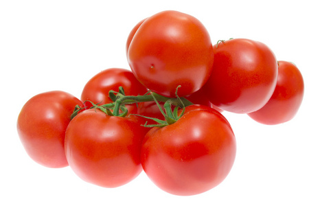 西红柿被隔绝在白色背景上的分支