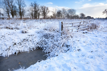在荷兰农田上雪图片