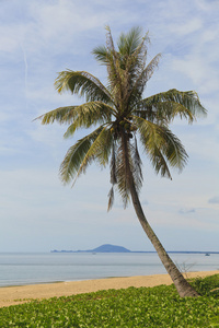 在泰国美丽的热带海滩