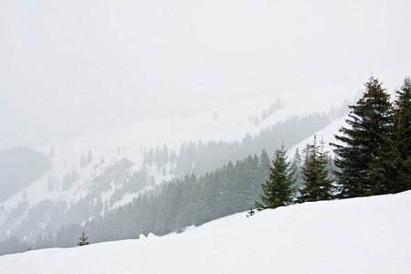 降雪，kirhberg 奥地利