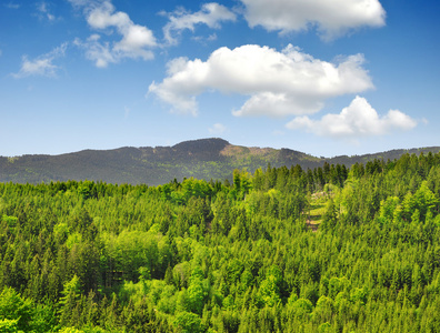 在国家公园舒马瓦山捷克共和国的春天风景