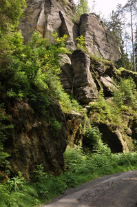 绿色森林和岩石