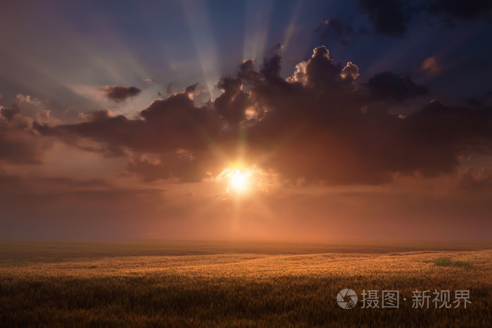 初升的太阳以上麦田