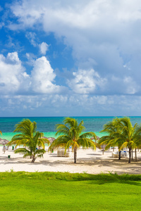 在沙滩上的可可关键在古巴热带度假村