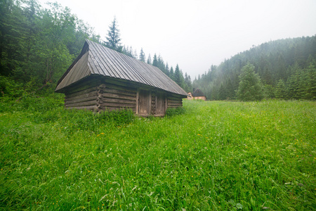 木制住房在 tatra 山脉森林
