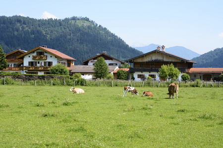 高山村庄