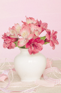 孤立在粉红色的背景上的花瓶里的粉色花束