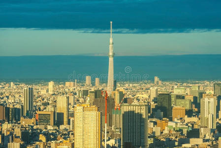 城市的白昼景色