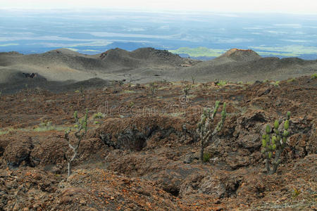 火山景观，内格拉山脉，加拉帕戈斯。