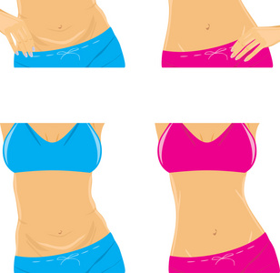 腹部和腰部纤细。女性的身体部件