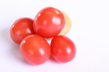 小新鲜西红柿