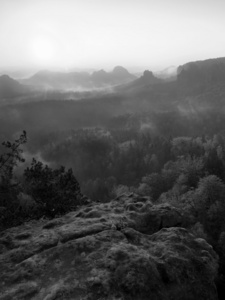 视图通过山毛榉分支与叶成深雾谷撒克逊人在瑞士。砂岩峰林雾从雾背景增加，是由于日出橙