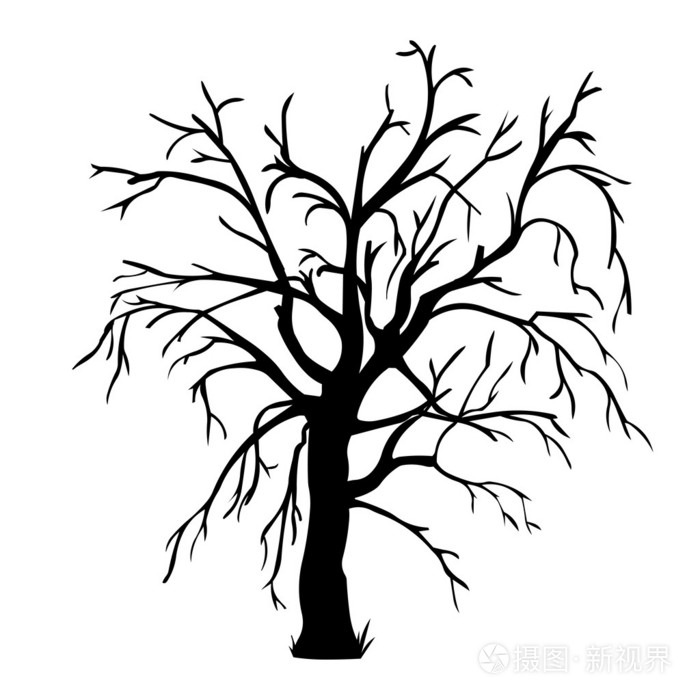 黑色矢量轮廓的光秃秃的树