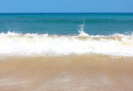 海滩和热带海