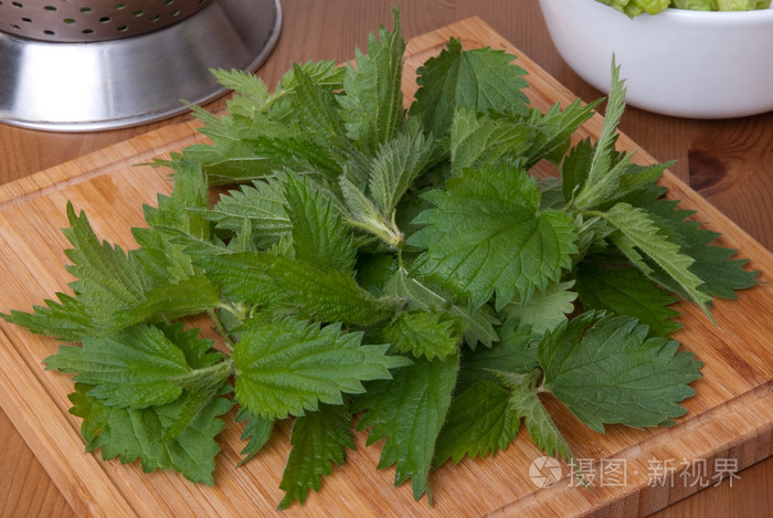 新鲜荨麻