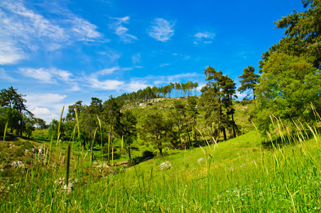 山夏天风景