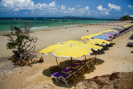 芭堤雅海滩，koh lan 泰国