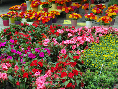 花卉市场