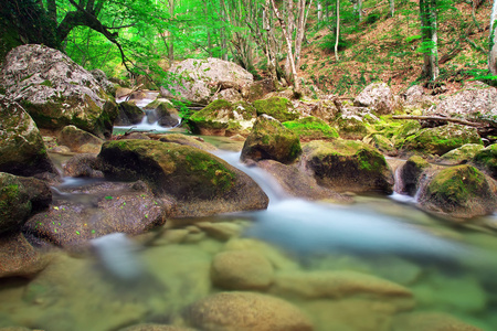 在春天的山区河流。在森林和自来水公司水的流