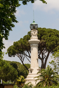 在罗马，意大利树之间小灯塔