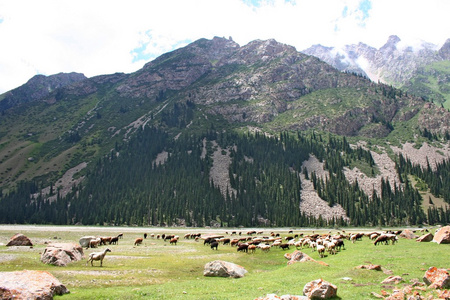 田北俊议员山山脉，吉尔吉斯斯坦，dzhuku 谷