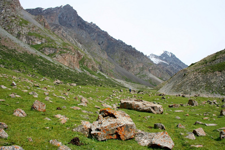 ashukashka 苏谷 天山山脉 吉尔吉斯斯坦