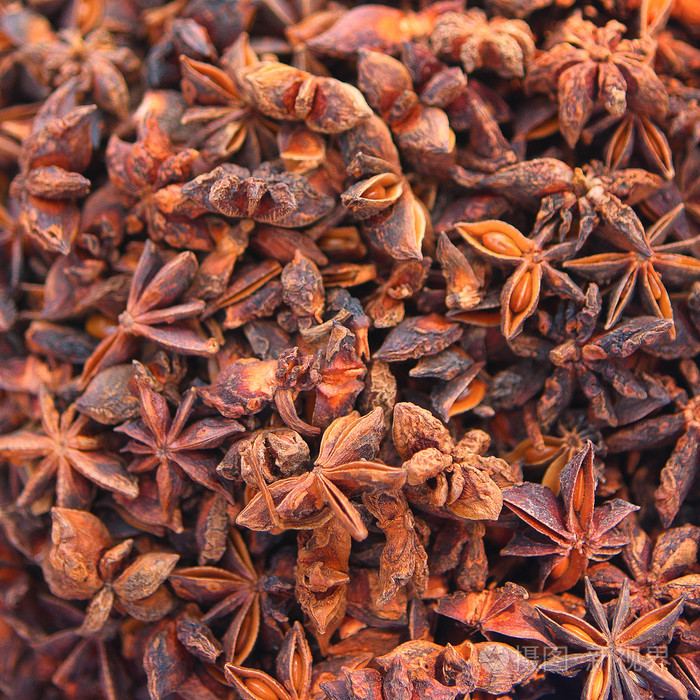 八角茴香的种子香料市场的印度-方形