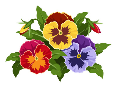 七彩的三色堇花朵。矢量插画