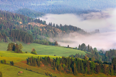 春天在 pieniny