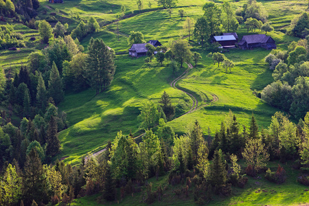 春天在 pieniny