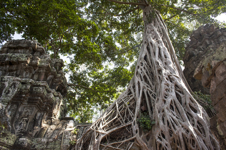 ta phrom。暹粒。柬埔寨