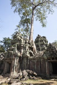 ta phrom。暹粒。柬埔寨