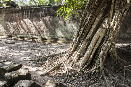 ta phrom。暹粒。柬埔寨