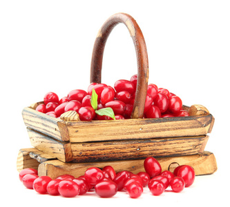 新鲜山茱萸浆果在木制的篮子里，在白色隔离