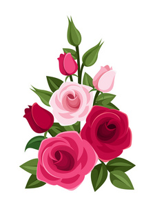 红色和粉色玫瑰 芽和叶片的分支。矢量插画