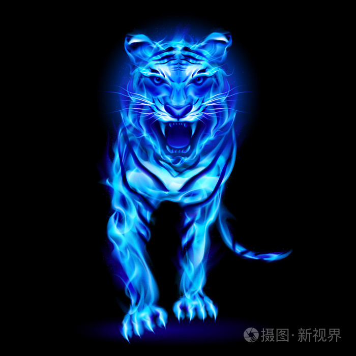 蓝色火虎