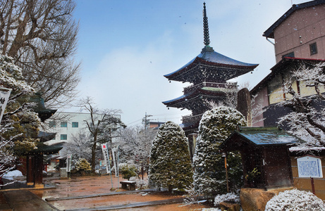 在高山市的飞驒国分寺寺