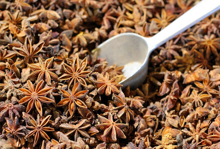 八角茴香果实和种子