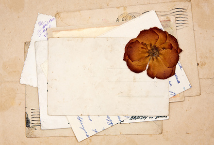 旧信 空邮政贺卡和干的玫瑰