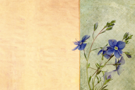 纹理花卉背景图像和设计元素