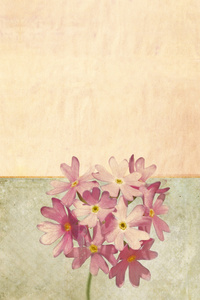 纹理花卉背景