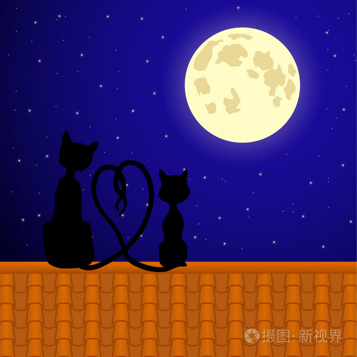 坐在屋顶上的猫盯着月亮