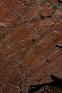 岩石与有机褐色纹理
