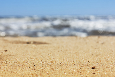 海滩和热带海