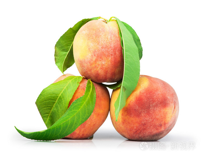 peache和叶
