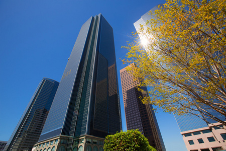 la 洛杉矶市中心的摩天大楼建筑