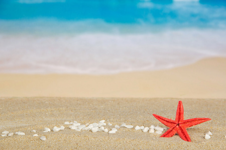 小卵石和沙质海岸 starfishes