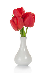 孤立在白色花瓶里美丽红色郁金香