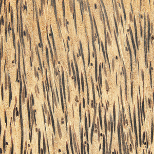 条带化木材图案背景纹理