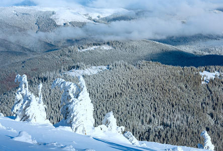 冬天与雪树山风景